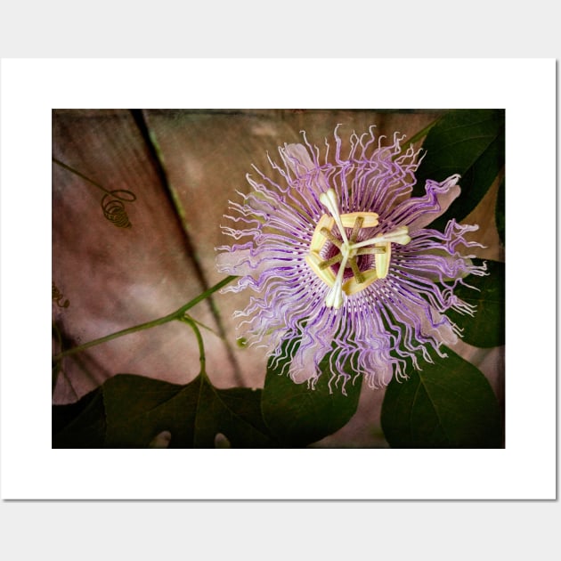 Passion flower close-up with berry filter - a study in green and purple Wall Art by AtlasMirabilis